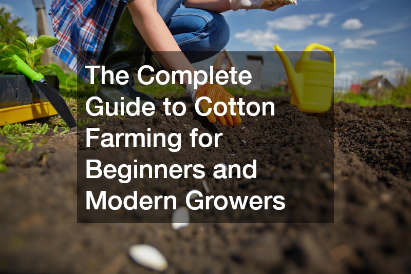 The Complete Guide to Cotton Farming for Beginners and Modern Growers
